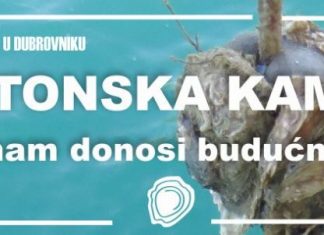 Malostonska kamenica: Što nam donosi budućnost?