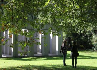 Sara Stevanović – Iskustvo