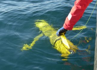 Novi znanstveni projekt HRZZ – DiVMAd