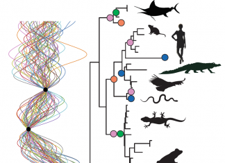 Novi znanstveno istraživački projekt – TRACE