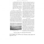 Djelo-novinara-Rudimira-Rotera_303