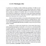 Kultura-poslovnog-komuniciranja_064