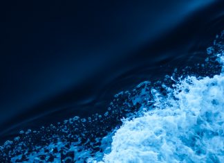 Interni poziv za podnošenje prijava za glavnog urednika Naše more