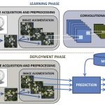 Graphical-abstract