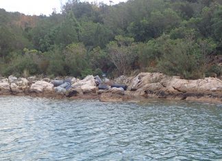 Novi projekt na Sveučilištu: MARLESS – „MARine Litter cross-border awarenESS and innovation actions”