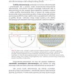 OSNOVE-KONZERVIRANJA-RESTAURIRANJA-TEKSTILA_105-1