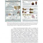 OSNOVE-KONZERVIRANJA-RESTAURIRANJA-TEKSTILA_106-1