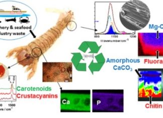 Znanstveni rad prof. dr. sc. Branka Glamuzine u WoS Q1 časopisu Spectrochimica Acta Part A: Molecular and Biomolecular Spectroscopy