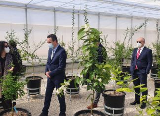 Ministrica Marija Vučković obišla Zavod za mediteranske kulture