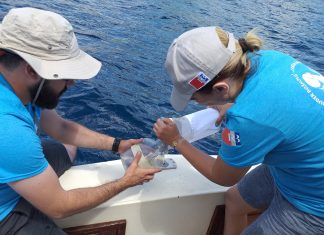 Započela terenska istraživanja u okviru projekta MARLESS