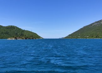 Postavljeni kolektori za prihvat ugrožene plemenite periske u Malostonskom zaljevu