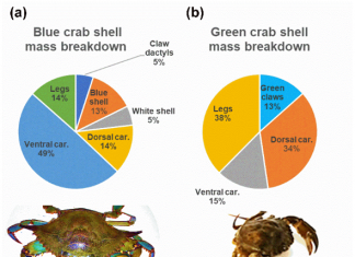 Znanstveni rad prof. dr. sc. Branka Glamuzine u WoS Q1 časopisu Materials
