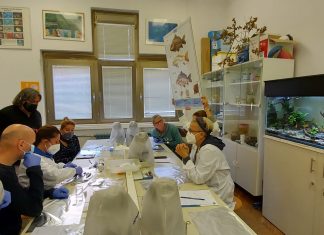Odjel za primijenjenu ekologiju domaćin radionice i treninga u sklopu projekta Plastic Busters MPAs