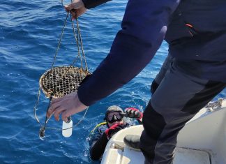 Terenska istraživanja u okviru projekta MARLESS