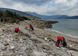 Čišćenje plaža u sklopu projekta MARLESS