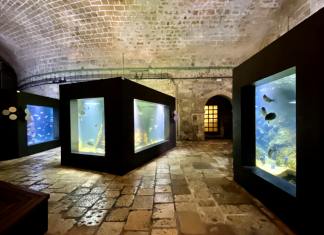 Svečano otvaranje Akvarija i predstavljanje monografije Instituta za more i priobalje