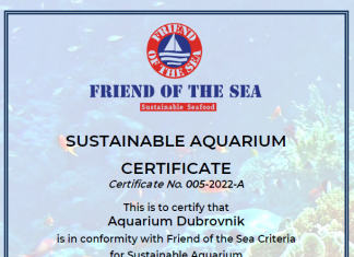 Dubrovački akvarij dobio certifikat “Friend of the Sea”