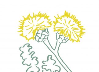 Znanstveni skup 39th EADSVE Meeting na Sveučilištu u Dubrovniku