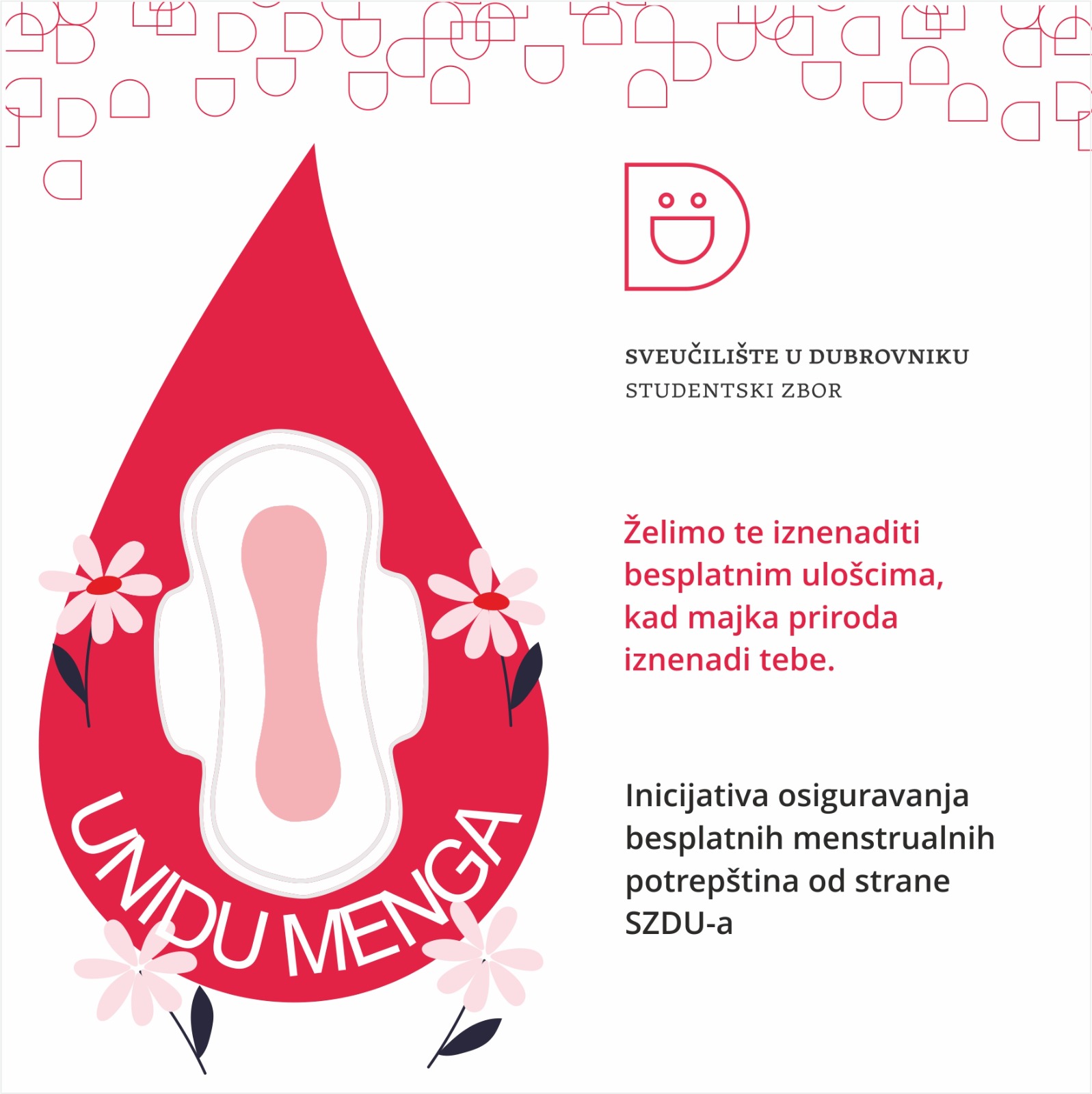 SZDU projekt