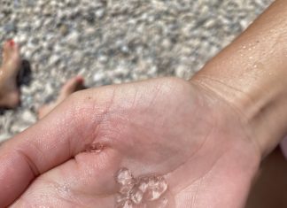 Obavijest Instituta za more i priobalje Sveučilišta u Dubrovniku