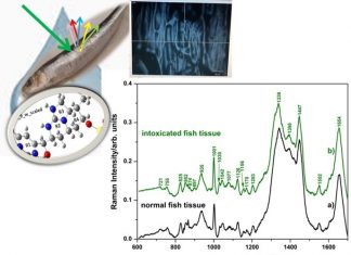 Suradnja Odjela za primijenjenu ekologiju sa Sveučilištem Babeș-Bolyai iz Cluja u Rumunjskoj
