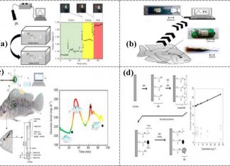 Znanstveni rad prof. dr. sc. Branka Glamuzine i kineskih znanstvenika objavljen u časopisu Biosensors and Bioelectronics