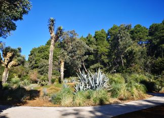 Dani botaničkih vrtova, arboretuma i botaničkih zbirki Hrvatske na Lokrumu