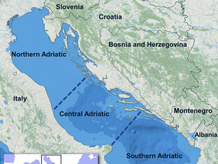 Kolaborativni znanstveni članak, djelatnika Odjela za primijenjenu ekologiju i suradnika s Instituta za oceanografiju i ribarstvo iz Splita, znanstvenika sa Sveučilišta u Zagrebu, Beogradu i Lodzu, te Morske biološke postaje iz Pirana i Instituta za biologiju mora iz Kotora, objavljen u časopisu Marine Life Science & Technology
