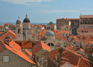 Online Site-visit by EC experts