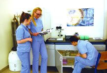 Studij sestrinstvo i Kliničko sestrinstvo