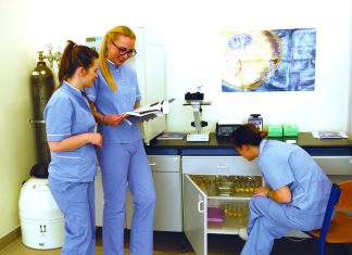 Studij sestrinstvo i Kliničko sestrinstvo