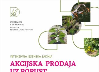 Akcijska prodaja sadnica na pokušalištu Čibača