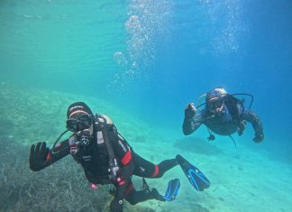 Istraživanje i očuvanje plemenite periske na Lastovu