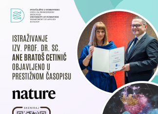 Uspjeh dubrovačke znanstvenice: istraživanje o obnovi populacija europske plosnate kamenice u prestižnom časopisu Nature Sustainability