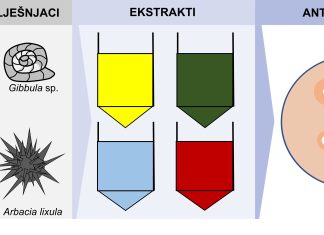Znanstveni članak Odjela za primijenjenu ekologiju objavljen u časopisu ‘Applied Sciences section Marine Science and Engineering’