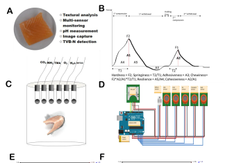 Znanstveni članak prof. dr. sc. Branka Glamuzine objavljen u časopisu ‘Biosensors and Bioelectronics’