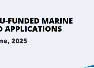 Ivana Palunko na radionici EMRA 2025 u Norveškoj