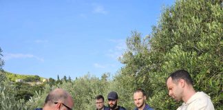 IPA ADRION ARCA Project – Installation of Fire Detection and Data Collection Sensors at the Institute for Mediterranean Plants, University of Dubrovnik