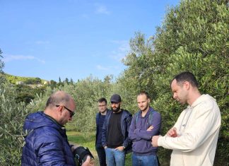 U sklopu projekta IPA ADRION ARCA postavljeni senzori za detekciju požara i prikupljanje podataka u Zavodu za mediteranske kulture Sveučilišta u Dubrovniku