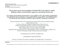 Objavljen znanstveni rad o prevalenciji dvaju patogena Atlantskog plavog raka