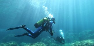 Registrations Open for the RestReef Courses: Marine Restoration Training Based on Artificial Reefs