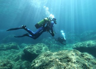 Registrations Open for the RestReef Courses: Marine Restoration Training Based on Artificial Reefs