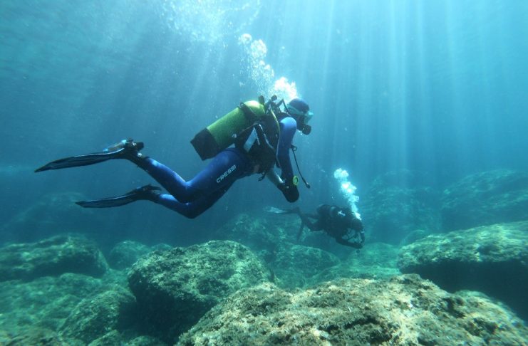 Registrations Open for the RestReef Courses: Marine Restoration Training Based on Artificial Reefs