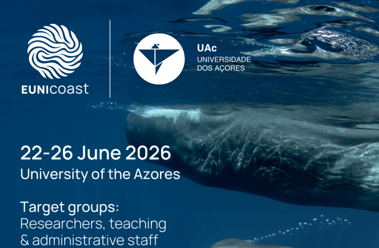 Research & Innovation Trends in Islands, Ports and Coastal Territories