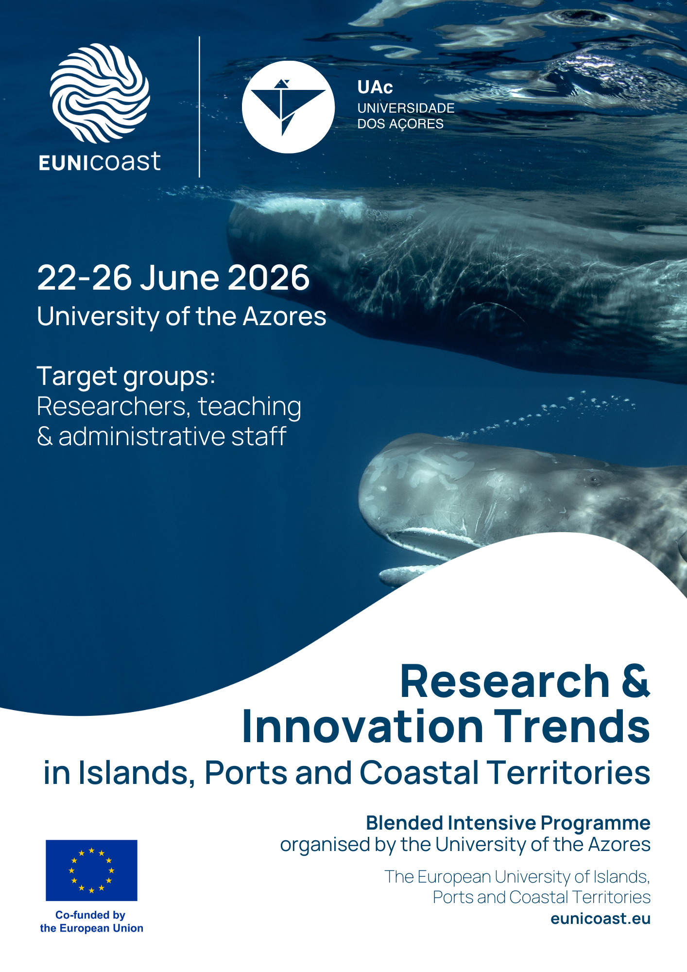BIP RI Trends in Islands Ports and Coastal Territories 2