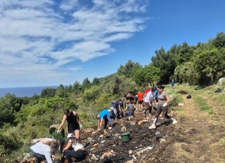 Sveučilište u Dubrovniku kroz alumni inicijativu doprinijelo pošumljavanju Konavala