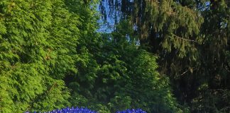 Unique Tactile Sculpture Exhibition for Blind and Partially Sighted People Opens at Volčji Potok Arboretum